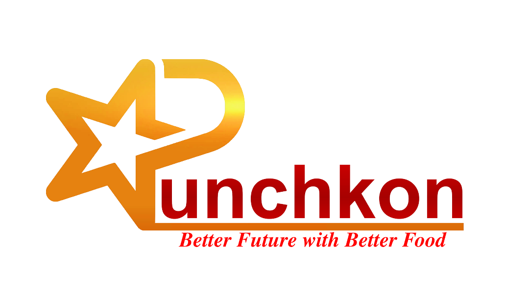 Punchkon Logo